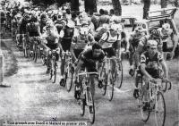 Image de la course du 05/08/1981