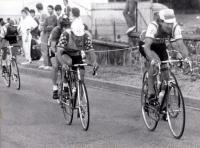 Image de la course du 07/08/1985